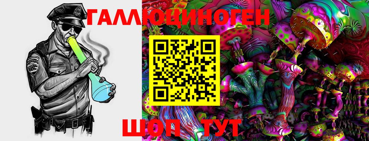 Коммунар  Галлюциногенные грибы Psilocybine cubensis  Вход с VPN 